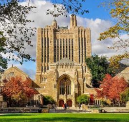Yale University (YU) | США