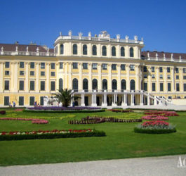 Весенние каникулы в Австрии, Вена | Actilingua