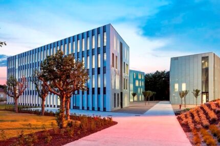 Університет у Провансі Aix Marseille Université