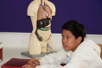 Середня освіта в Австрії – Danube International School Vienna (DISV)